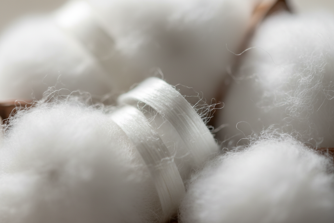 Close-up of archival cotton paper texture and detail.